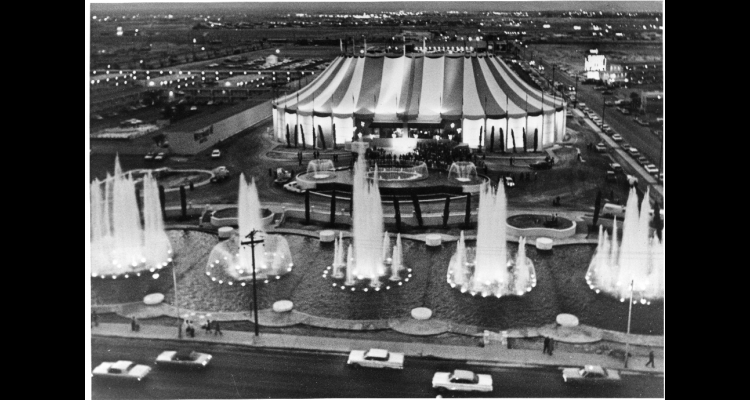 Circus Circus | ONE